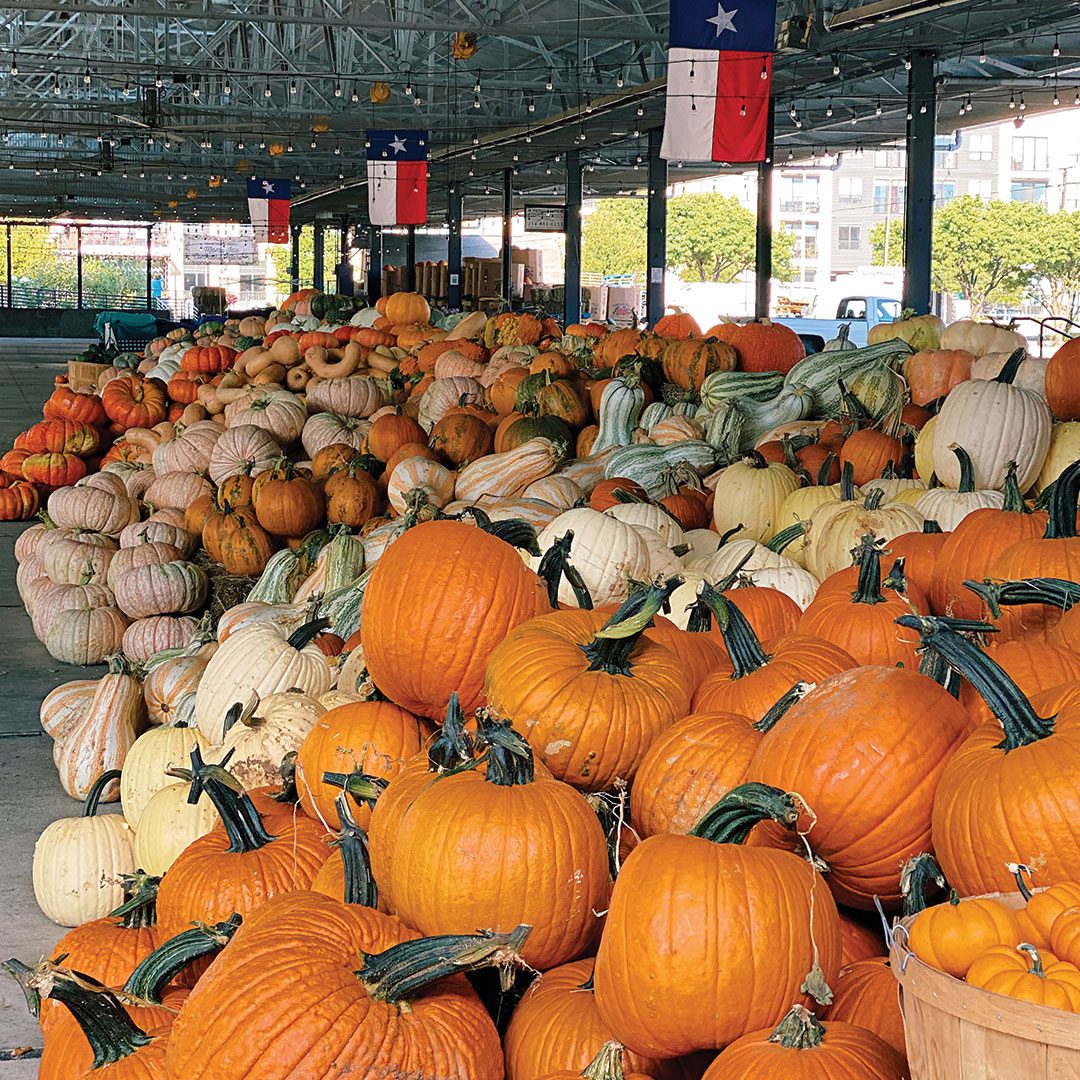 pumpkin-patch-dallas-farmers-market