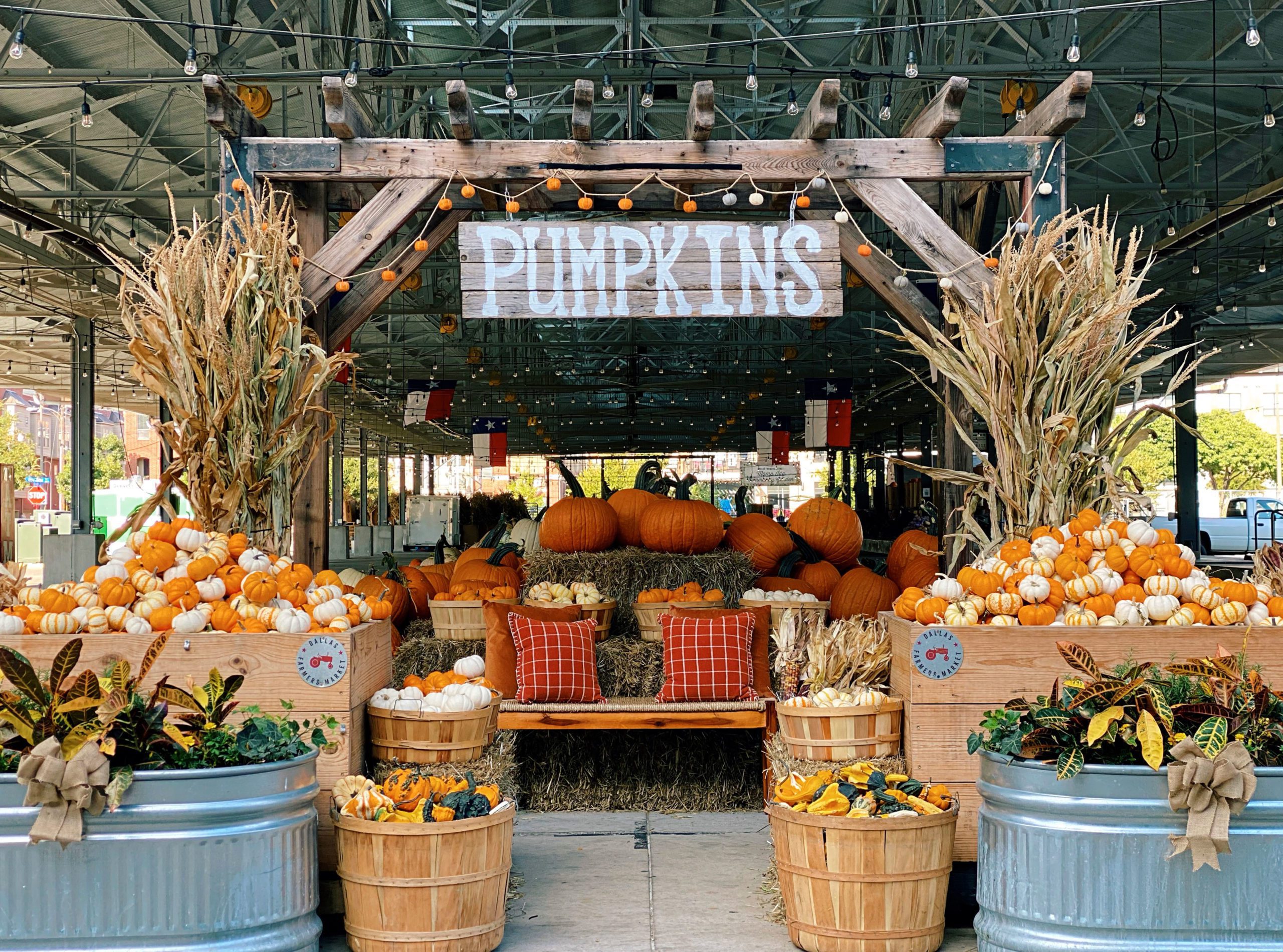 Orange You Glad It s Fall Dallas Farmers Market Orange You Glad It s Fall Dallas Farmers Market
