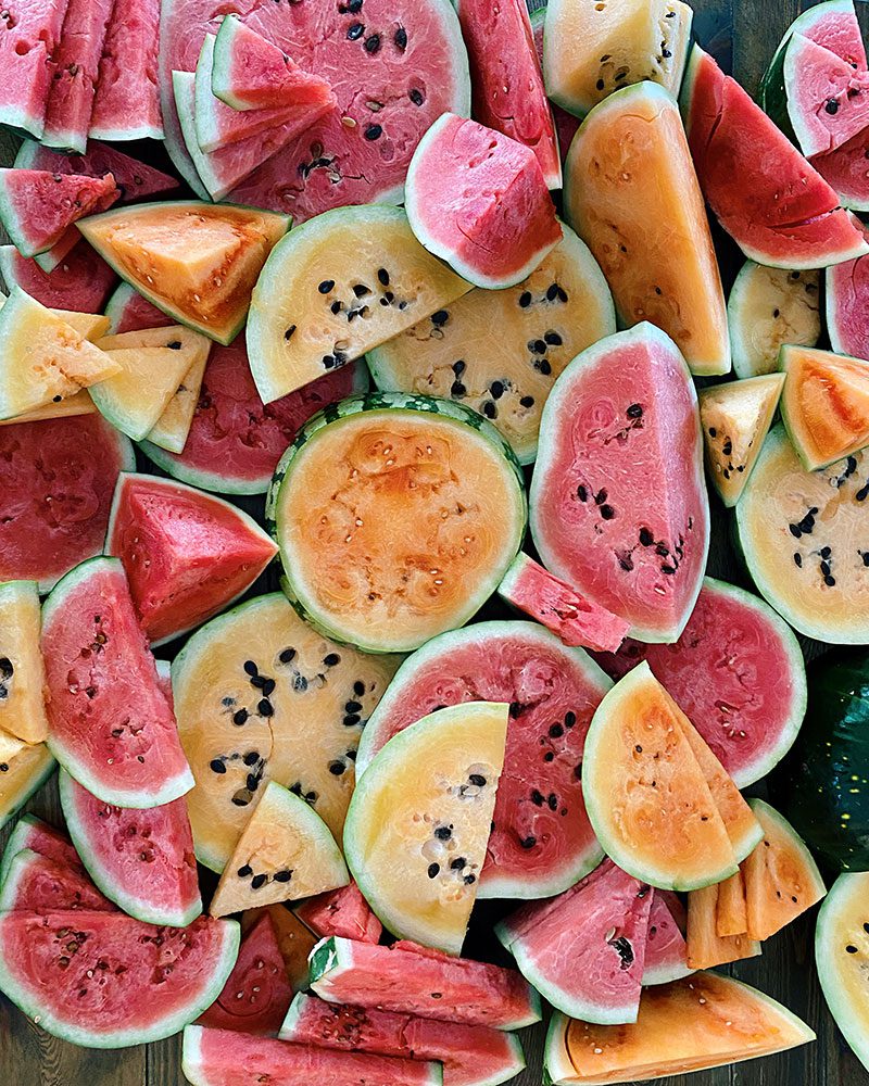 Melon farmers wife