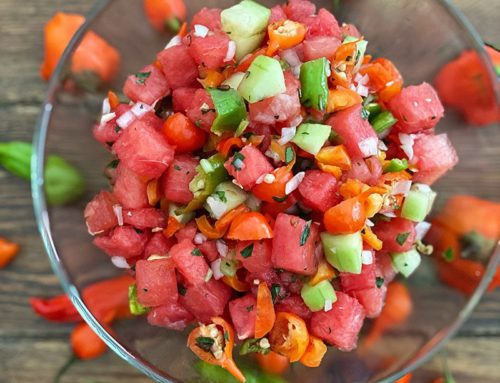 WATERMELON SALSA WITH CUCUMBERS & PEPPERS