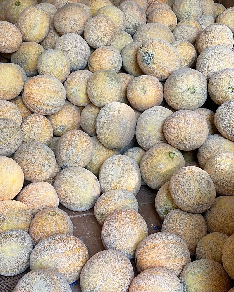 MUSK BE CANTALOUPE SEASON - Dallas Farmers Market