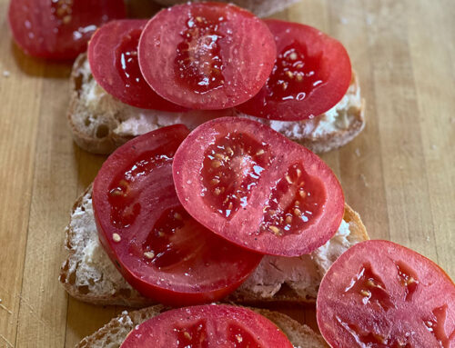 GOAT CHEESE TOMATO TOASTS