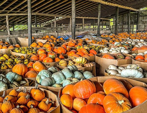 GOURD NEWS!