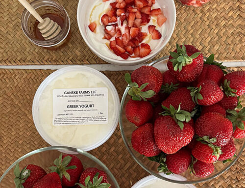 EASY YOGURT BOWL