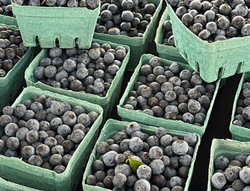 BERRY LOCAL! BERRY FRESH!