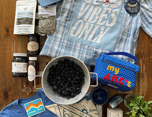 BLUEBERRY THEMED ITEMS