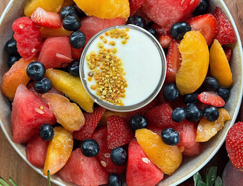 THE SEASON IS THE REASON – PICNIC EDITION: FARMER FRUIT SALAD + YOGURT DIP