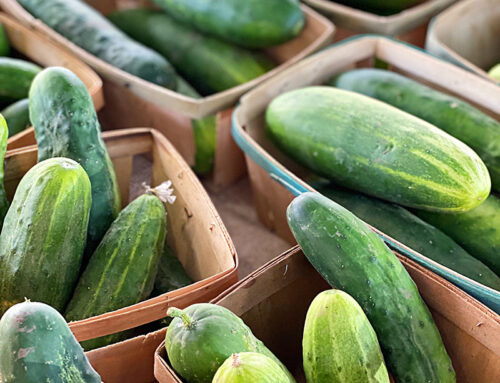 EATING SEASONALLY IS COOL