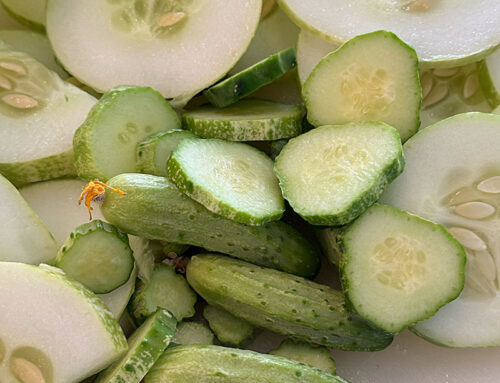 EASY REFRIGERATOR DILL PICKLES