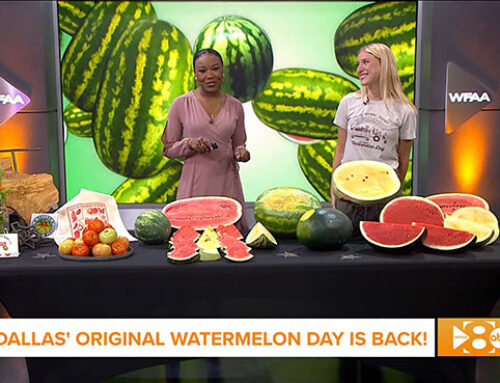 WATERMELON DAY WFAA FEATURE