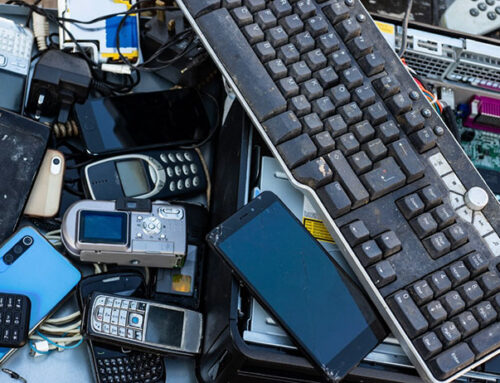 TAKING THE SUS OUT OF SUSTAINABILITY