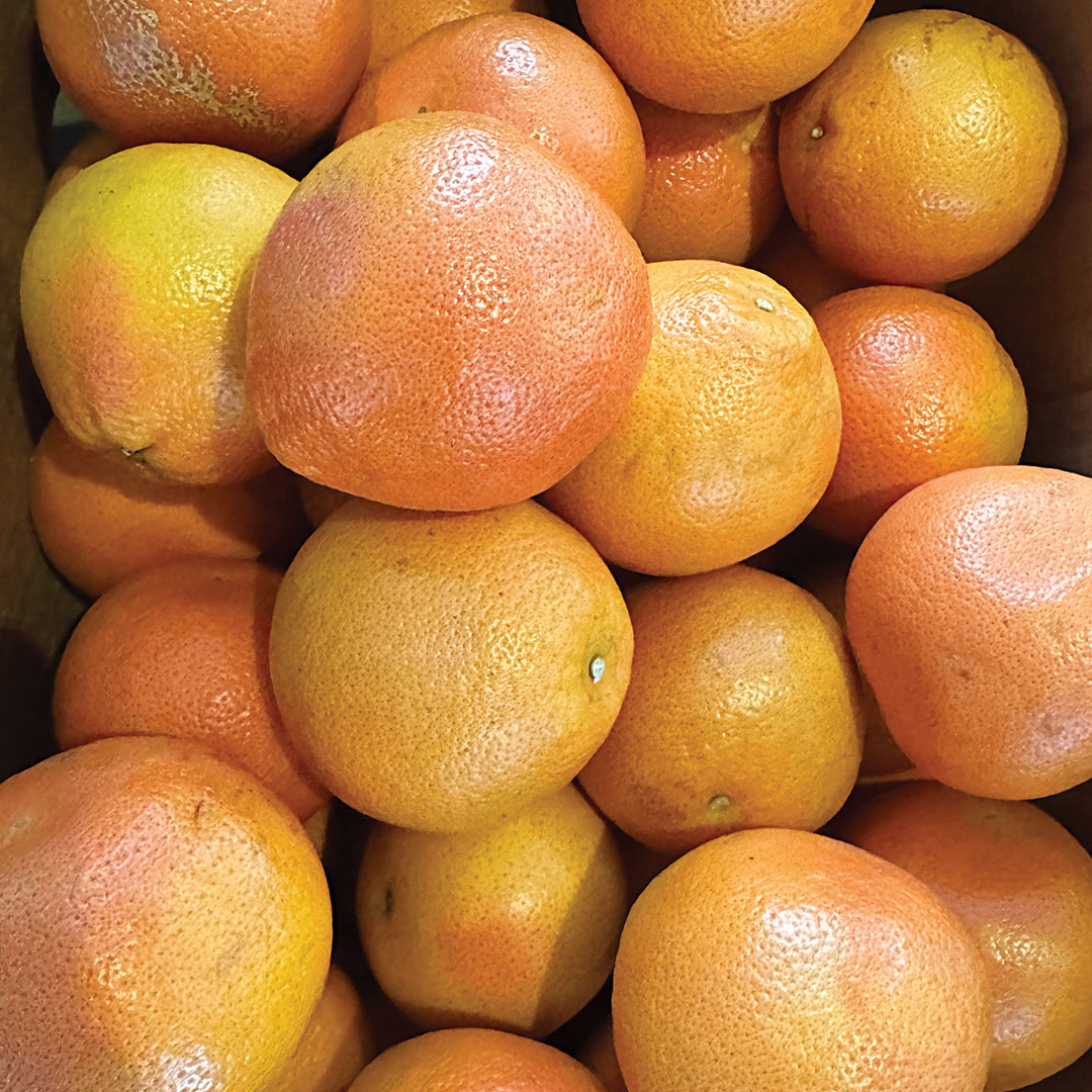 DallasFarmersMarket4_