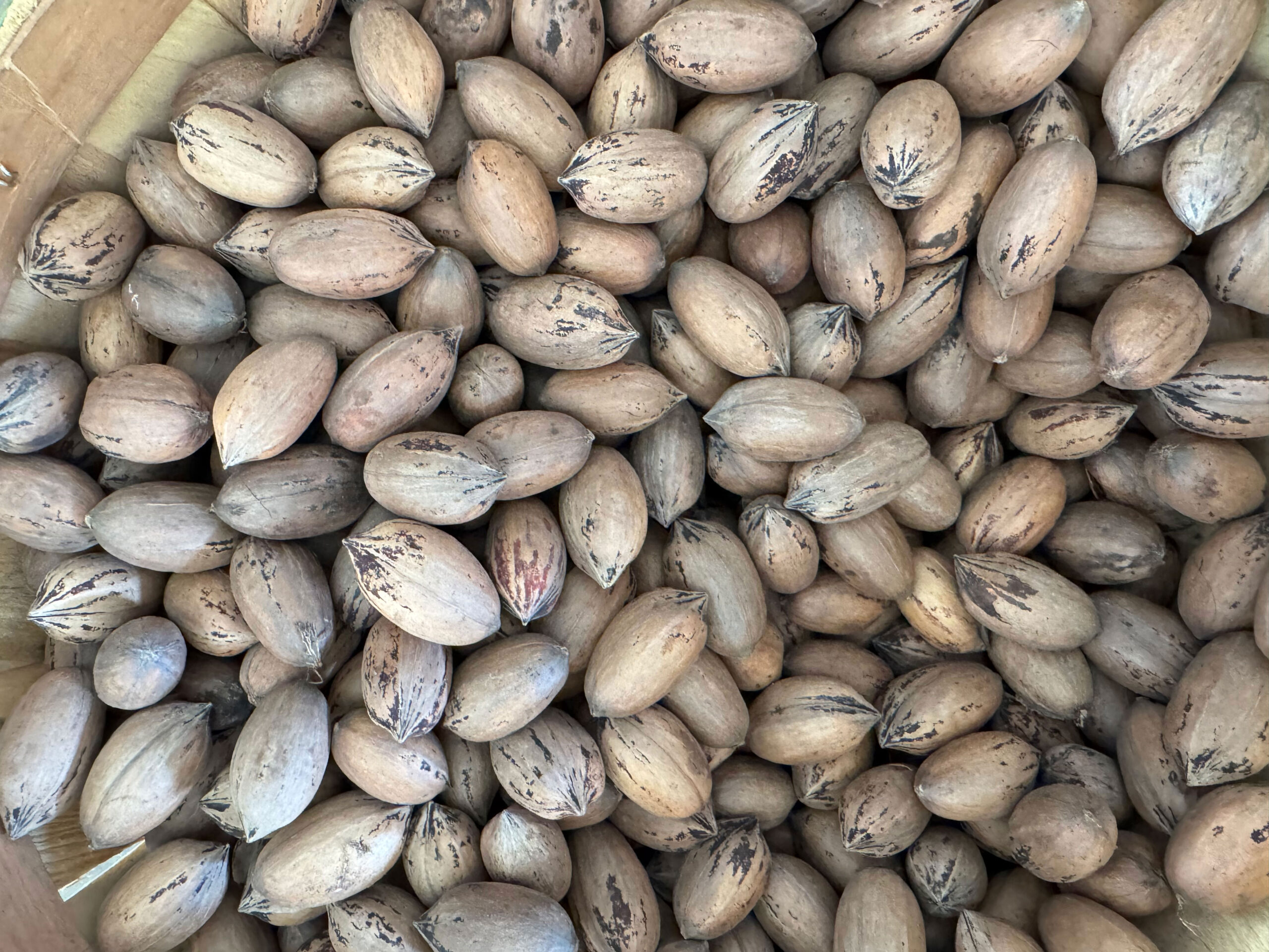 DallasFarmersMarket_