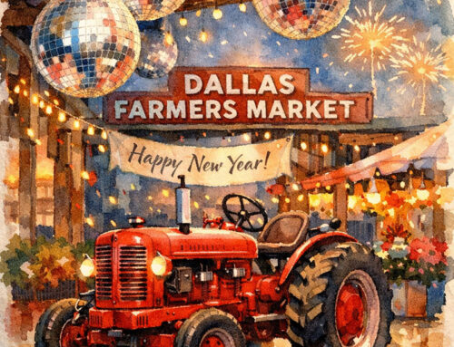 LOOKING BACK BEFORE MOVING FORWARD