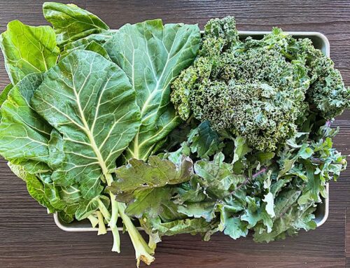 IT’S EASY EATING GREEN