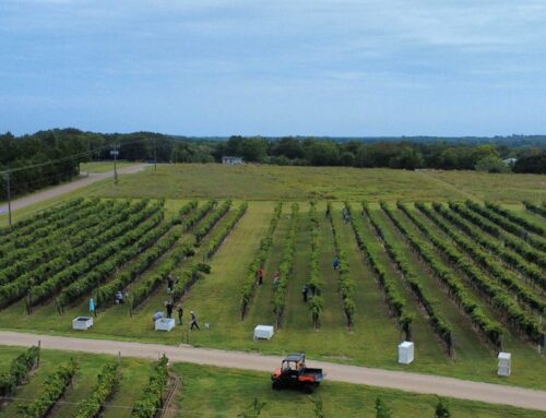 WHEN IT RAINS, WE POUR