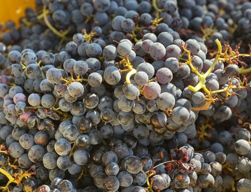 PSST. VALENTINE’S DAY IS NEXT WEEK.