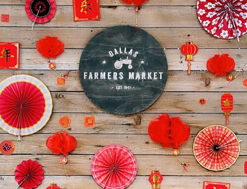 HORSES AND DRAGONS AND BIRDS, OH MY!