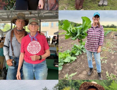 CELEBRATING SHE’S IN THE SHED