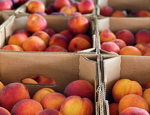 JUST PEACHY!